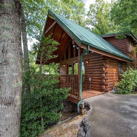 Cubs Cove Villa Gatlinburg Bagian luar foto