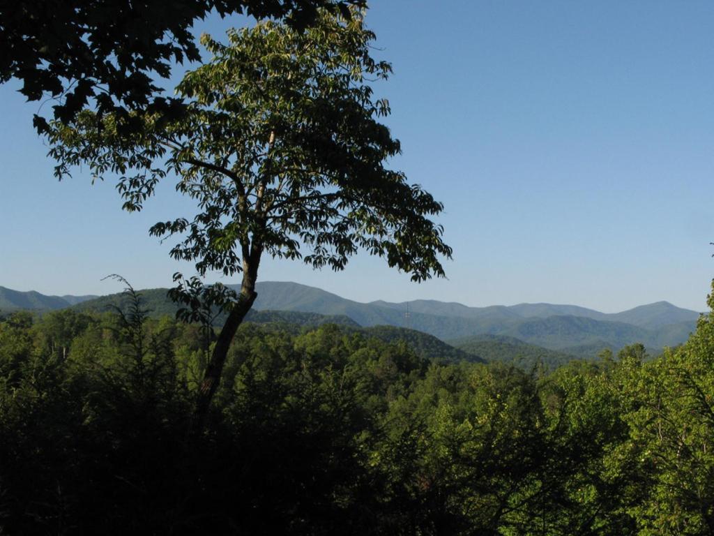 Cubs Cove Villa Gatlinburg Bagian luar foto