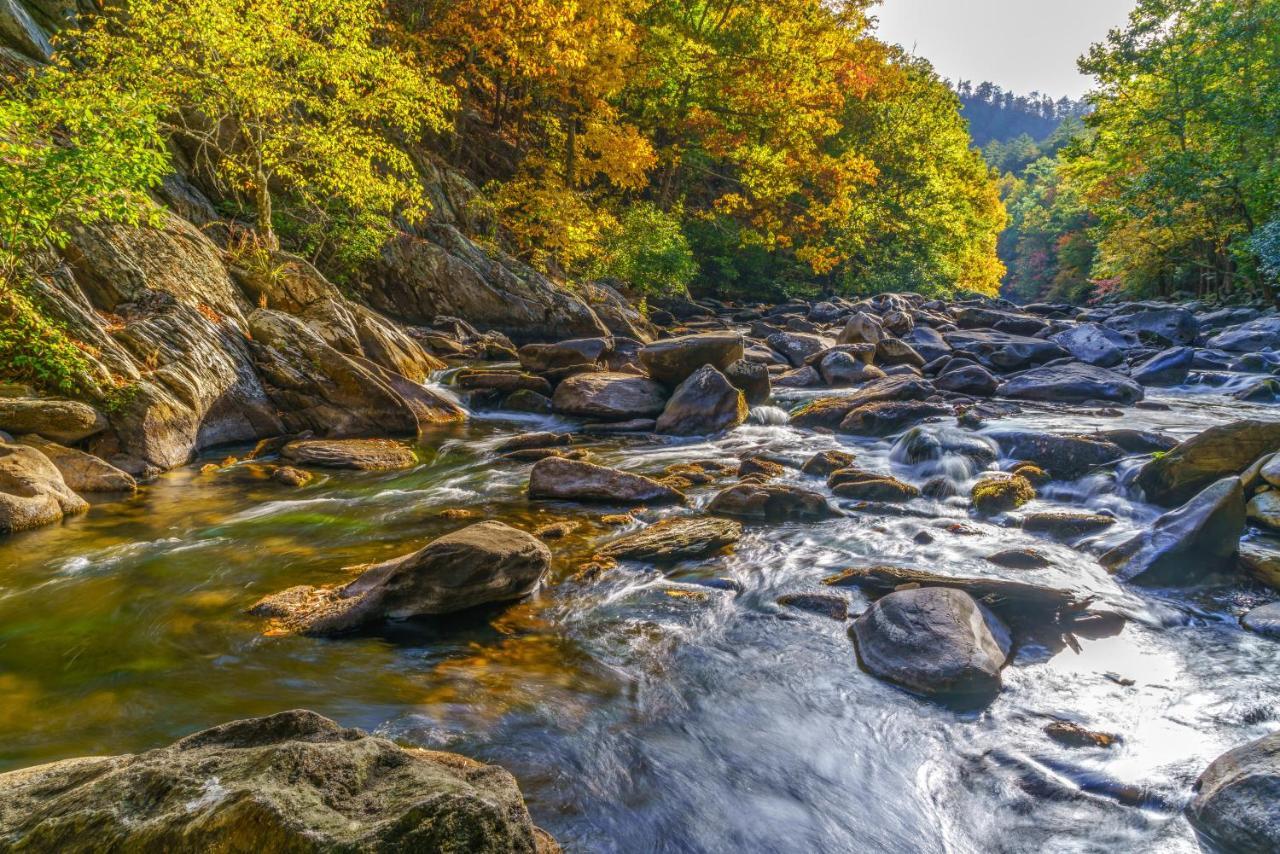 Cubs Cove Villa Gatlinburg Bagian luar foto